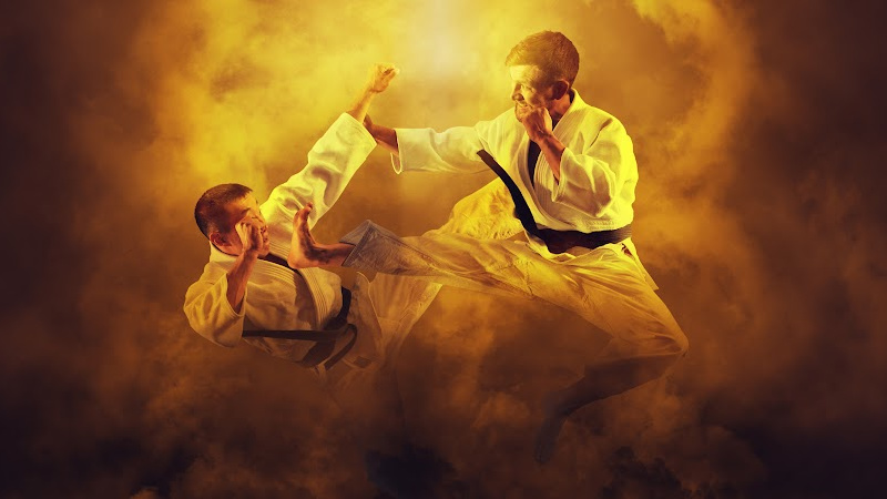 kyokushin-karate-technika-federacija