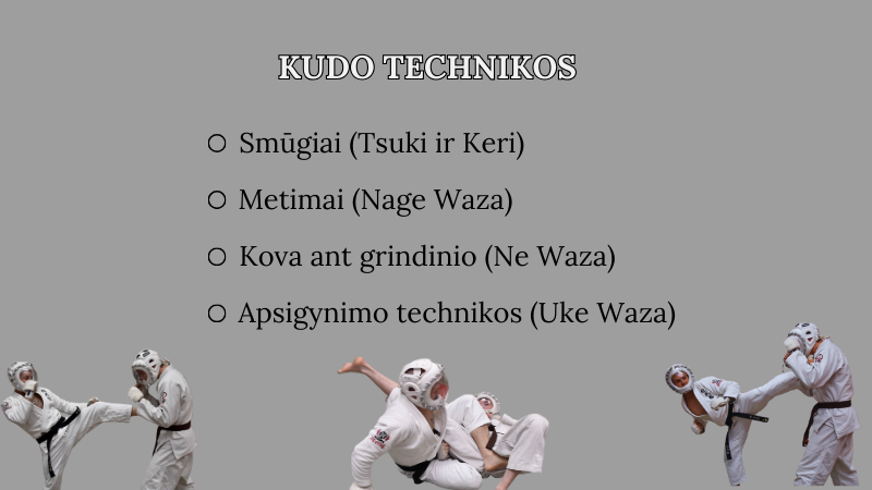 kudo-technikos